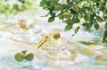 【治一郎】夏の涼を贈る、旬の恵みを閉じ込めた一粒。和歌山県産「古城梅」の贅沢ゼリー『青梅のひとしずく』2026年6月1日（月）より販売開始