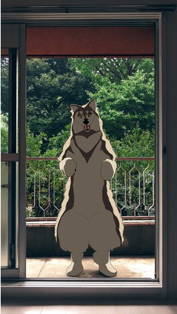 佐藤雅晴《オオカミになりたい》2017、ビデオ（サイレント）、ループ、個人蔵、©Estate of Masaharu Sato