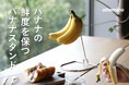 【新商品】バナナにも定位置を。置くだけだった保存を見直す折り畳みバナナスタンド