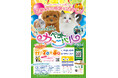 ひごペットフレンドリー 20周年記念 「20th Anniversary Pet Carnival」をATCホールで開催！