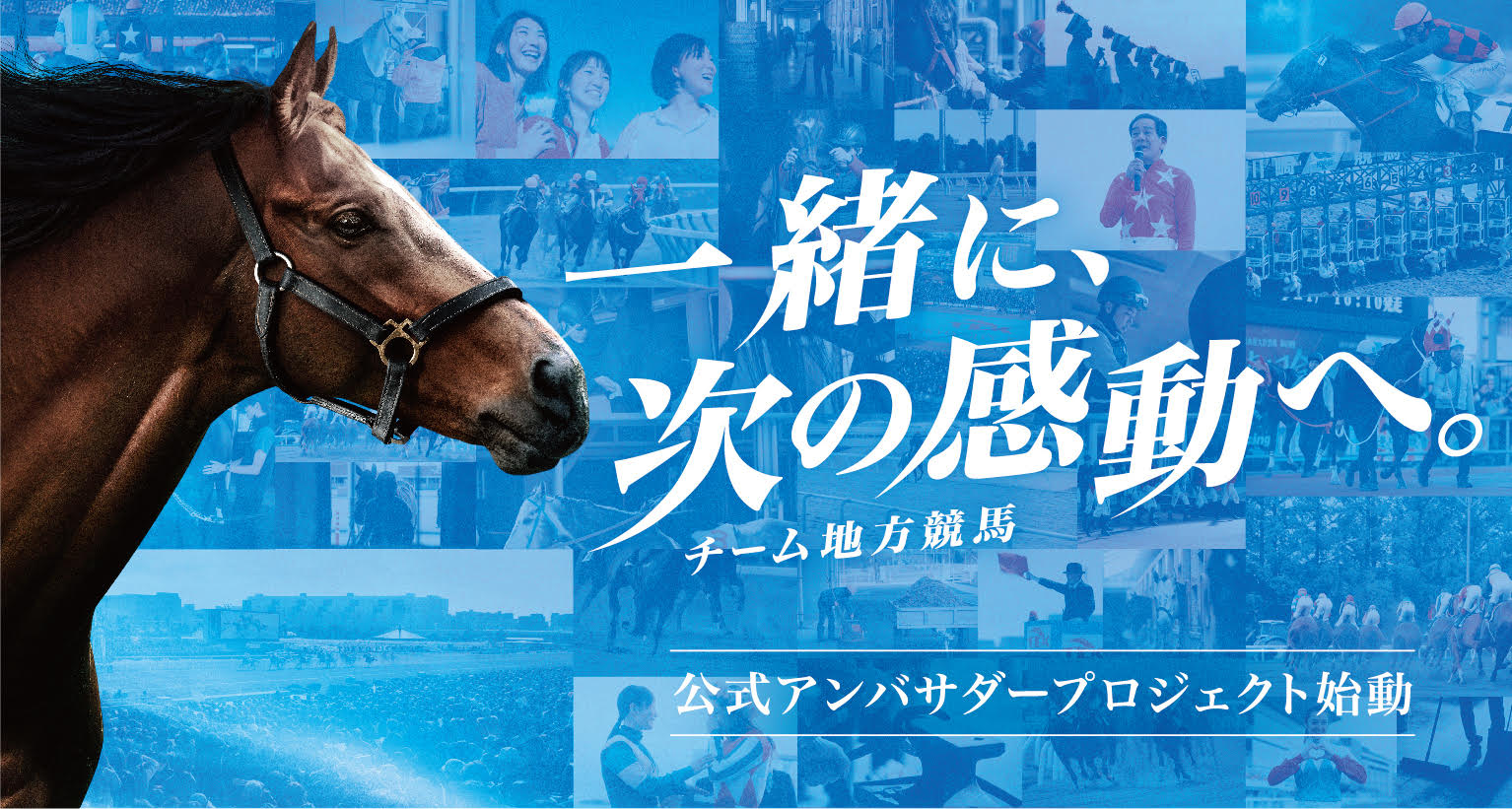 21年度広報スローガンは 一緒に 次の感動へ チーム地方競馬 公式アンバサダープロジェクト始動 地方競馬全国協会のプレスリリース