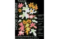 UltraSuperNewが渋谷にオープンしたオルタナティブスペース「Kura」第二弾の展覧会を開催