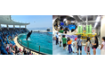 【申し込み締切間近】８/23出発　夜の水族館探険ツアー ～ 裏側潜入コース ～