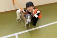 【11/2出発】 救助犬トレーナー体験スクール