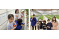 【こどもの休日の過ごし方】年中~小学生向け イチゴ狩り体験 & 立体迷路チャレンジツアー開催!