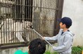 【夏休みの過ごし方】飼育員のお仕事に挑戦してみよう!