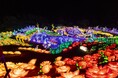 【夏休みの過ごし方】ぐらんばる公園&シャボテン公園を満喫する3日間!伊豆ファンタジーキャンプ