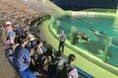 【夏休みの過ごし方】7/27出発 夜の水族館！鴨川シーワールド裏側探険＆アニマルアドベンチャーキャンプ