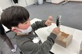 【こどもの休日の過ごし方】11/1出発 ファーブル昆虫教室～＜15名限定！＞パラワンオオヒラタクワガタ編 ～