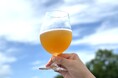 【よなよなビアワークス】数量限定!華やかなホップアロマを堪能する「FAC “PINK” West Coast IPA」