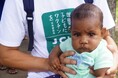 【7年ぶりにバヌアツ・エスピリトゥサント島を視察】支援者さまと共にワクチン支援の現状を確認