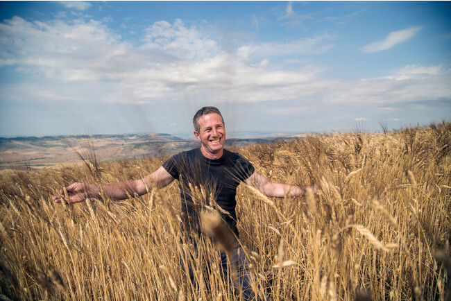 アルチェネロイメージ一例