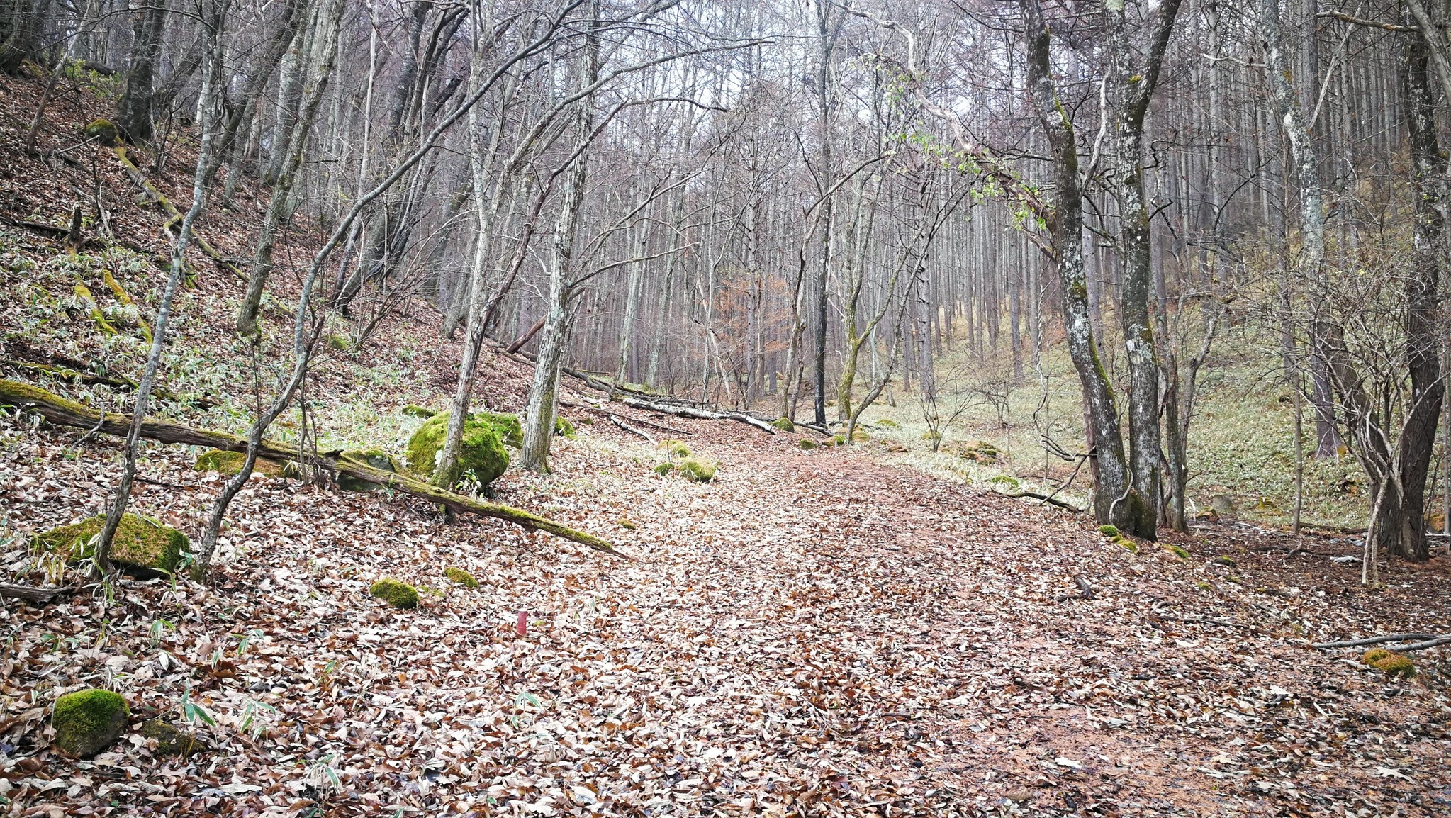 D7764 101 867165 0