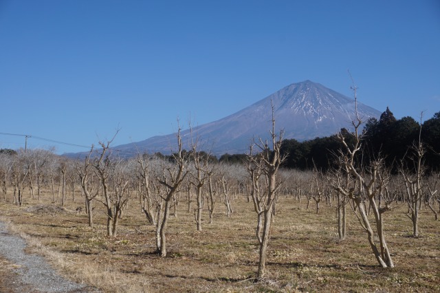 キャンプ場用地イメージ3