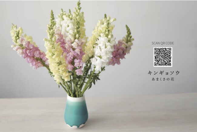 お花の好きお知り合い