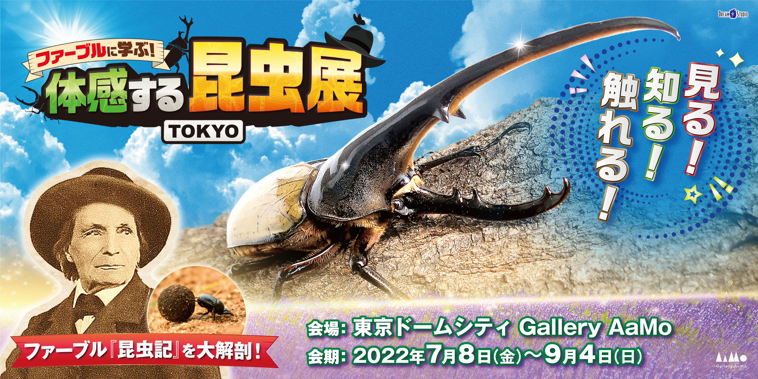 東京ドームシティ Gallery mo ギャラリー アーモ ファーブルに学ぶ 体感する昆虫 展tokyo 追加情報 株式会社東京ドームのプレスリリース