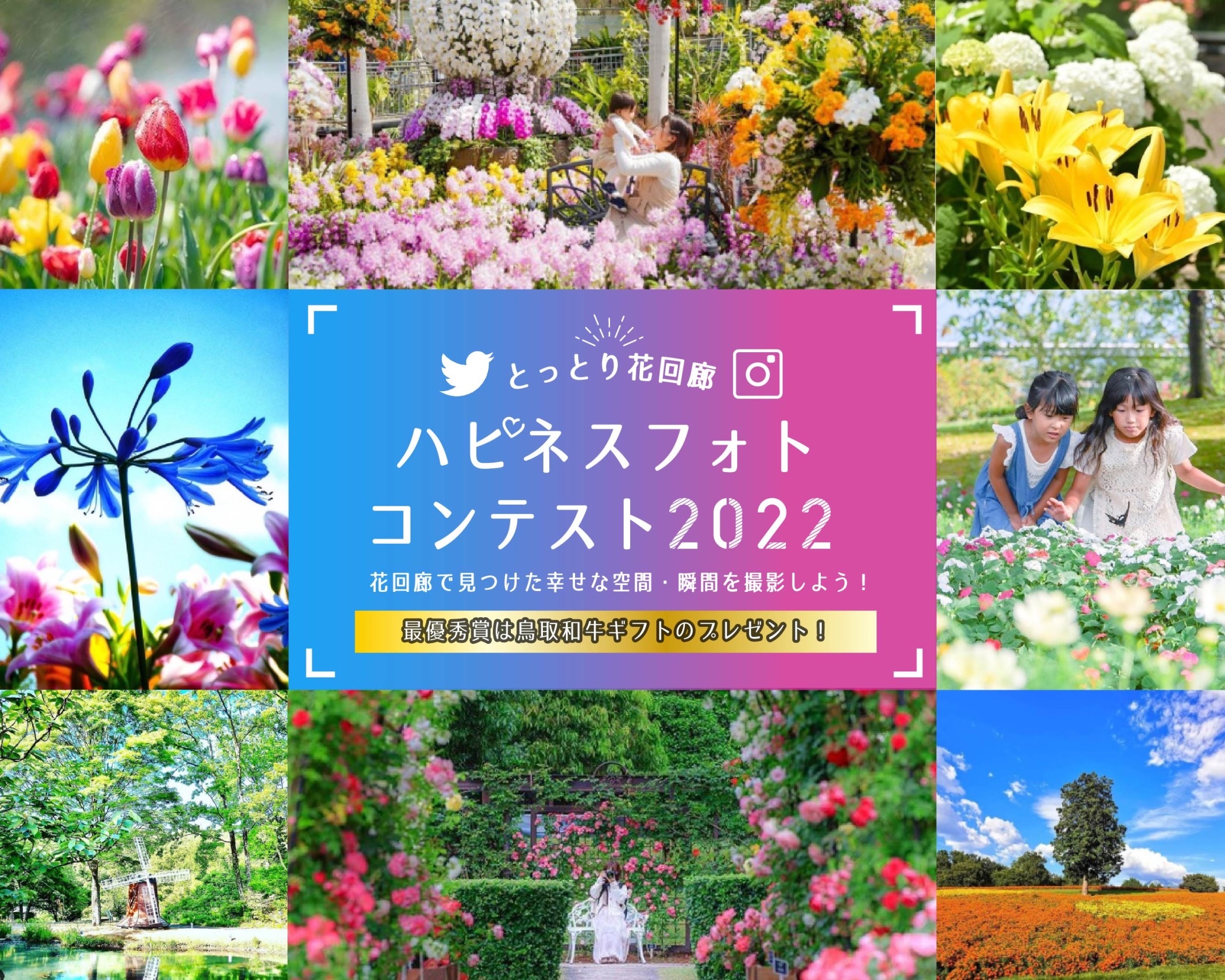 鳥取が提案する 新しい旅のカタチ フォトコン 旅行で豪華賞品がもらえるお得旅 一般財団法人 鳥取県観光事業団 とっとり花回廊のプレスリリース
