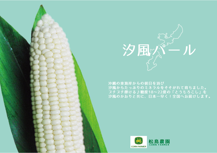 マンゴーより甘い 沖縄から白いとうもろこし汐風パール 日本一早く全国発売開始 株式会社松島農園のプレスリリース マンゴーより甘い 沖縄から白いとうもろこし汐風パール 日本一早く全国発売開始 株式会社松島農園のプレスリリース