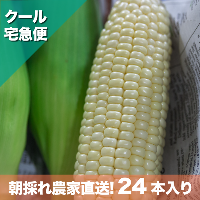 沖縄県外　☆24本入り：￥ 15,190