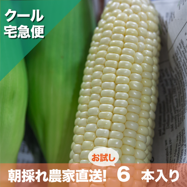 沖縄県内　お試し用6本入：￥ 4,180