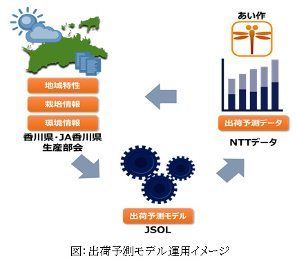 ブロッコリーの出荷予測モデルを開発 実証開始 株式会社jsolのプレスリリース