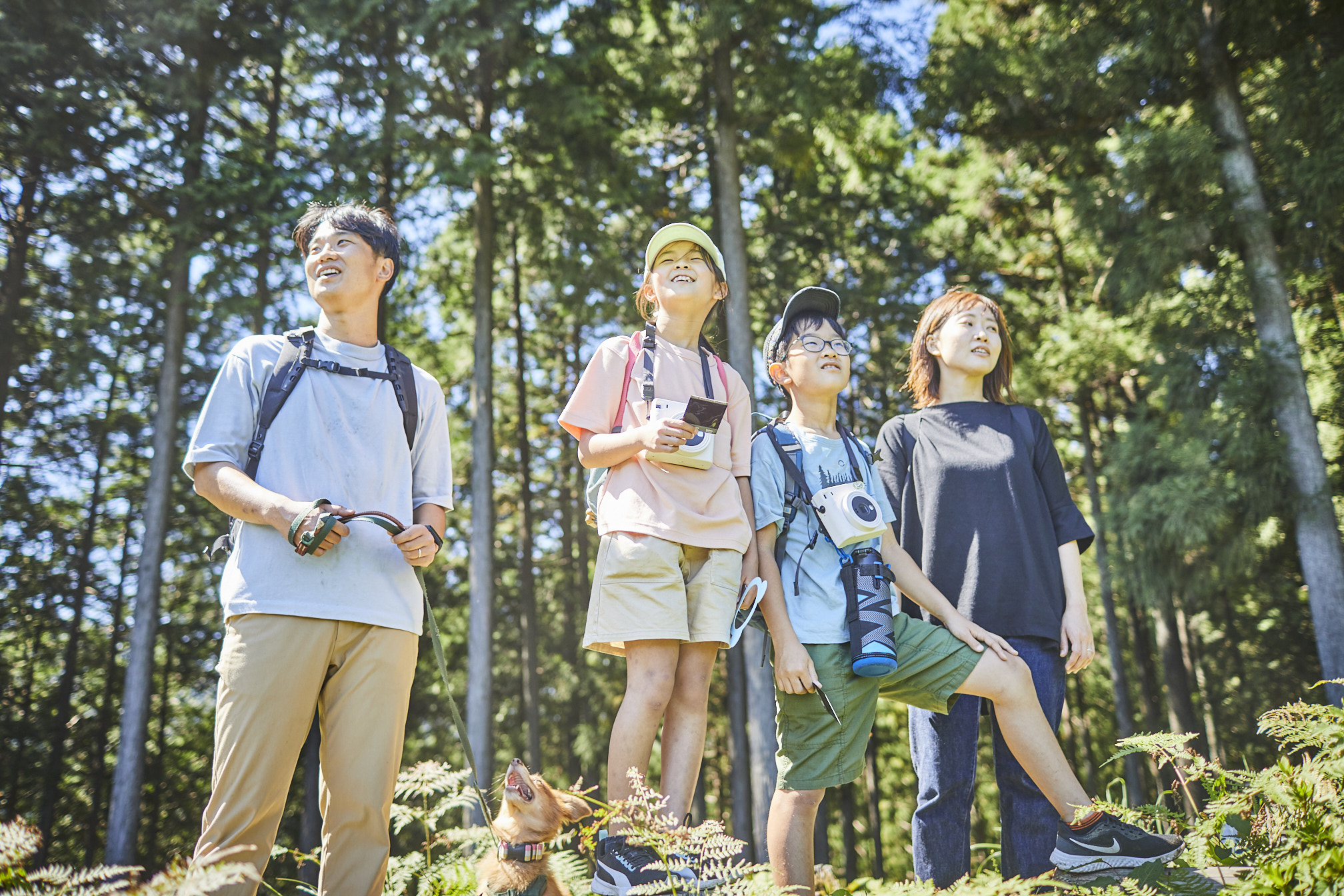 東京・檜原村の新感覚自然体験プログラム「裏山アート探検隊 みっける
