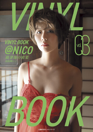 VINYL BOOK＠NICO vol.03 避暑地の密果