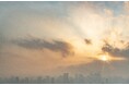 11月9日(土)初開催のウォーキングイベント 「Sunrise to Sunset Walk」アフターパーティに日テレアナ& キャラクター出演決定!!