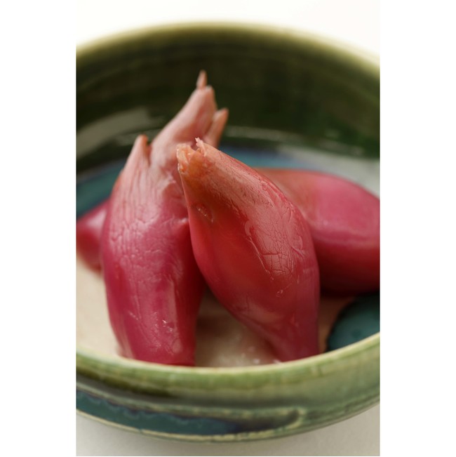 みょうがの甘酢漬け みょうがの甘酢漬け