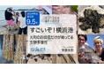 ヨコハマ海洋市民大学2024年度 第4回講座「すごいぞ！横浜港 元町の釣具店だけが知っている生物多様性」を開催します。