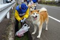 あきたの海ごみゼロへ!新しいマナー習慣の提案「犬の散歩でごみ拾いキャンペーンIN大館 part6」を開催。