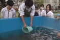廃材を再利用し子どもたちの“学び”に!浜名湖体験施設ウォット中庭「水槽でアマモを増やす大実験」の説明看板が完成