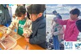 海藻がいなくなると、どうなるの?海藻って海でどんな役割なの?実験して調査しよう!【大村湾調査隊2024】を開催しました!