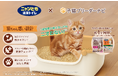 子猫ブリーダーナビ『ニャンとも清潔トイレ すいすいコンパクト(子猫用)』を2025年7月15日より成約特典に追加!