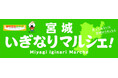 宮城県の美味しいものを集めた販売会「宮城いぎなりマルシェ！」を２年目も開催します！！