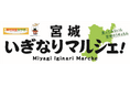宮城県の美味しいものを集めた販売会「宮城いぎなりマルシェ!」を全国で開催します!!