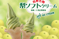 “なし”の名にかけて、梨に本気！旬を迎えた鳥取県産梨を東京・新橋「ももてなし家」で堪能二十世紀梨11.7度、新甘泉14.3度の最高糖度