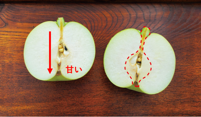 もったいないと思わずに、 赤い点線部分は思い切ってカットが◎
