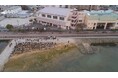 兵庫運河が「自然共生サイト」に環境大臣認定!