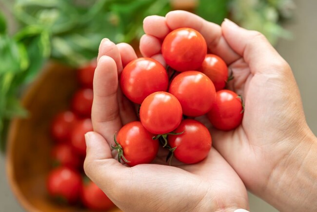 あとポイント制ふるさと納税