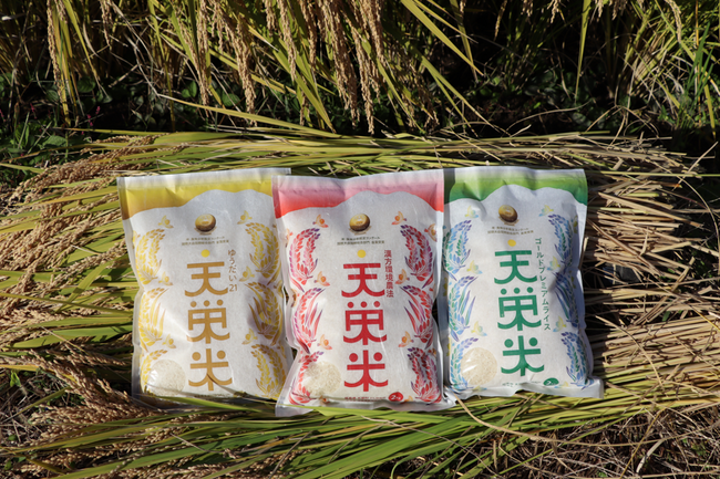 あとポイント制ふるさと納税