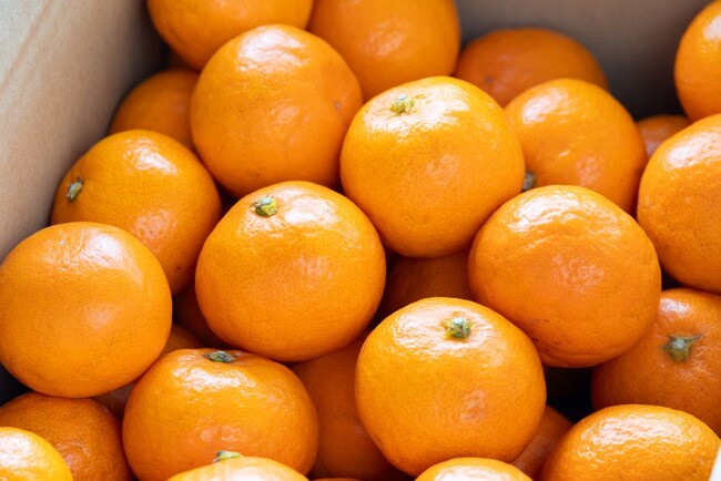 あとポイント制ふるさと納税