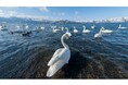 「ふるなび」で、北海道弟子屈町のふるさと納税業務代行サービスを開始。直営での業務効率化と魅力発信強化を推進。