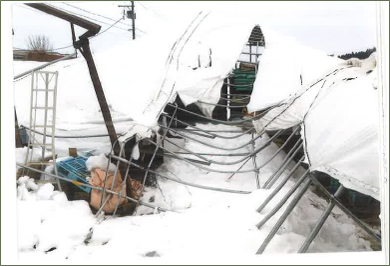 雪の重みで倒壊した施設