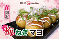 【笑たこ】今年も期間限定で登場！春の訪れを感じる爽やかな味わい『梅ねぎマヨたこ焼き』2026年3月26日（木）より発売を開始