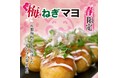 【笑たこ】春限定商品 梅好き必見!『梅ねぎマヨたこ焼き』2025年3月20日(木)より発売を開始