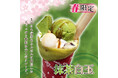 【スマイリークレープ】春の新商品を発売 濃厚抹茶尽くし!『抹茶白玉クレープ』2025年3月20日(木)より発売を開始