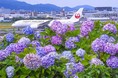 豊中の“イイ景観”決定！　第９回豊中市都市デザイン賞・第２回豊中まちなみ市民賞
