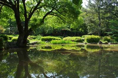 服部緑地の日本庭園