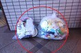 指定外ごみ袋でのごみ出しを可能に　指定ごみ袋が買えない場合の臨時対応